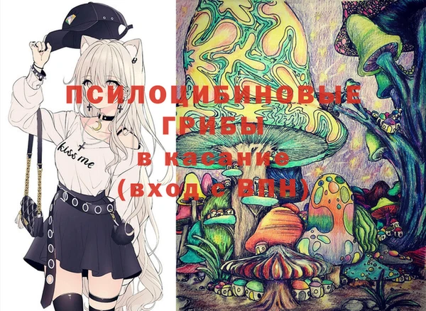 трава Арсеньев
