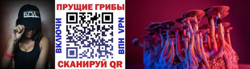 купить наркоту  блэк спрут как зайти  Галлюциногенные грибы GOLDEN TEACHER  Тейково 